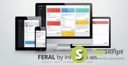 Feral 1.2 - социальная платформа