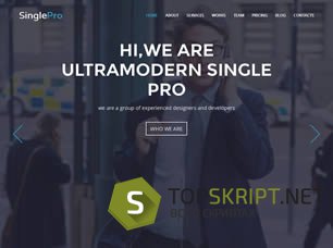 [HTML]SinglePro