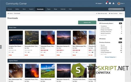 IPS Community Suite 4.1.17.1 Nulled + русификатор