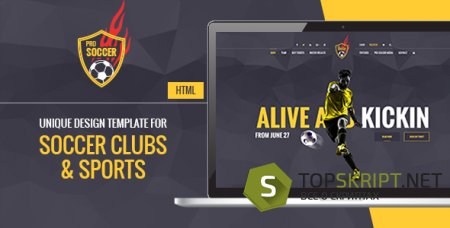 Soccer Acumen - Soccer and Football Club HTML Template